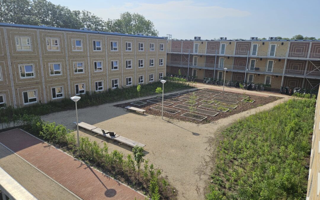 Riekerpark buitenruimte is aangelegd